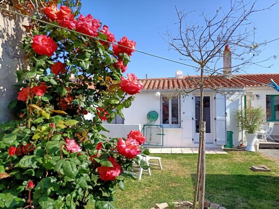 Willa La Maison Du Marin Saint-Gilles-Croix-de-Vie Zewnętrze zdjęcie